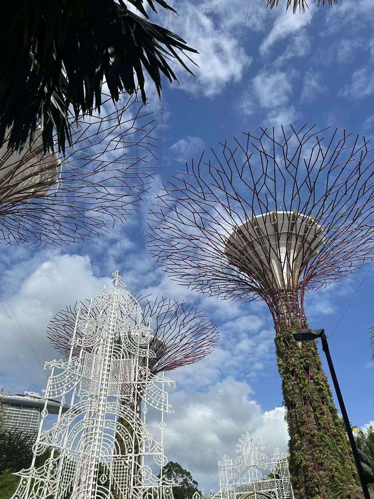 微信图片_20251226153319